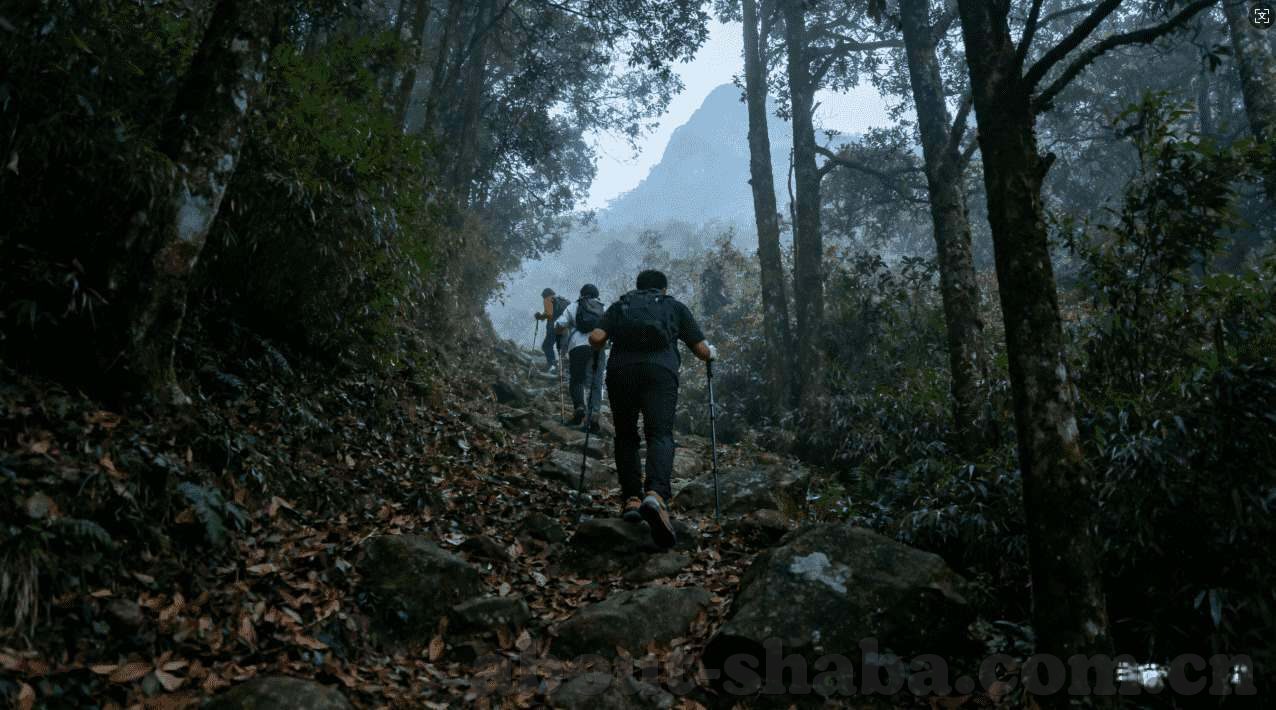 500彩票世界杯投注-500彩票世界杯投注，策略、风险与机遇